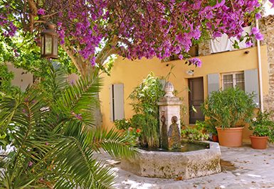 Photographier les bougainvilliers