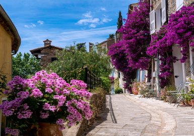 Photographier les bougainvilliers