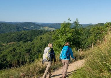 Sur les chemins de Compostelle