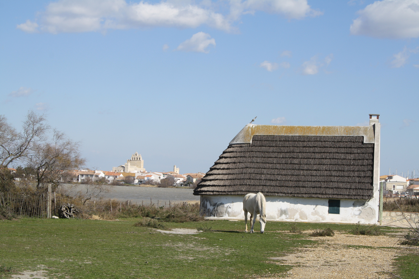 cabane de gardians saintes maries de la mer