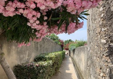 Détour par Ollioules dans le Var