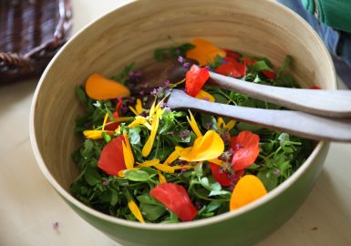 Retour aux sources !