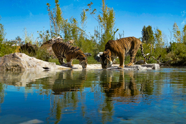 Détour par La Flèche dans la Sarthe