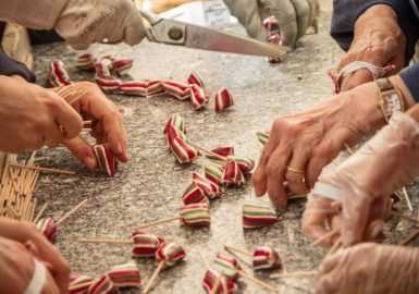 Visites chez le producteur