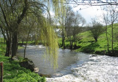 La Vallée de Clisson au fil de l’eau