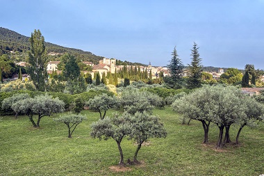 Détour par Aups dans le Var