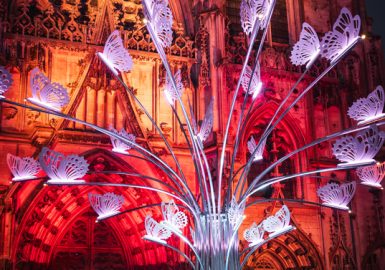 Magie lumineuse