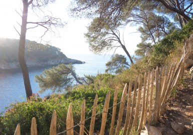 Que faire en 48h à Saint-Cyr-sur-Mer