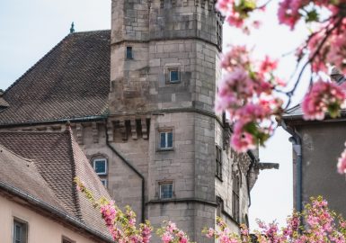 Que faire en un jour à Luxeuil-les-Bains ?